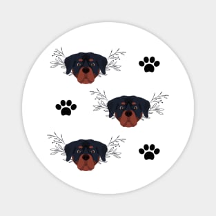 Rottweiler Dog Breed Face Pattern Magnet